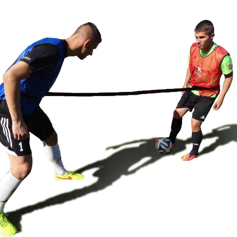 PASY DO TRENINGU 1 NA 1